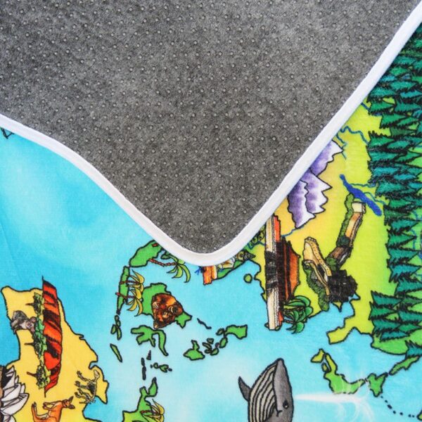 Kusový koberec World Map
