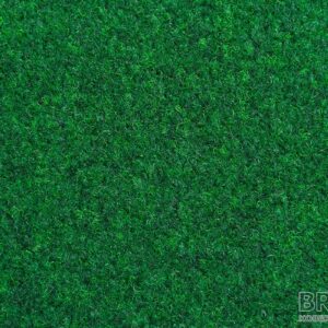 cricket-20-s-nopami_00045901049