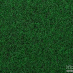 grass-41_00045943109