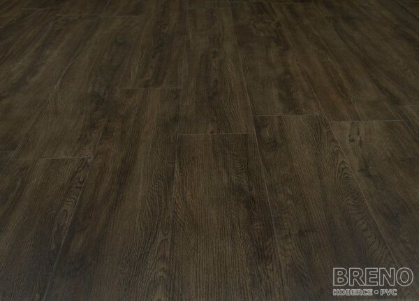 Vinylová podlaha MODULEO VISION Renaissance Oak 24887