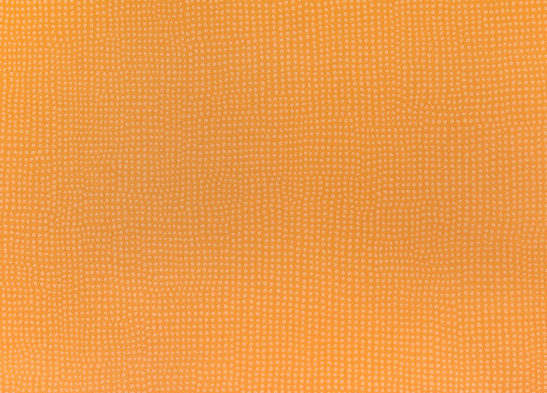 04093ab84fc2e79a06da9411