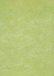 PVC XTREME Roxanne 550M
