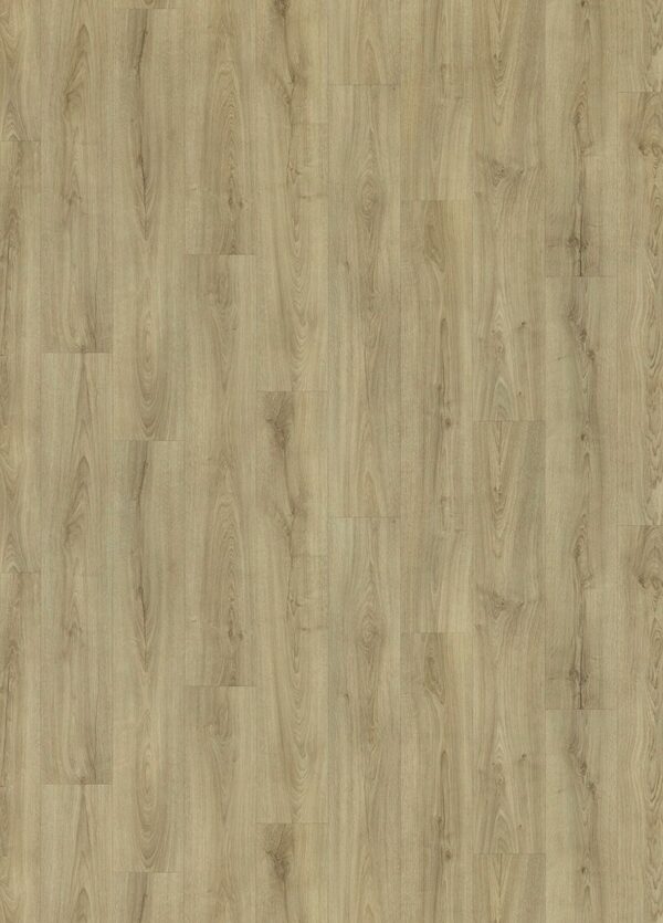 PVC RENOTEX Sundance Oak 543
