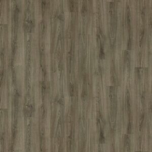 84d21775d721eb38b045519a