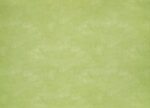 PVC XTREME Roxanne 550M