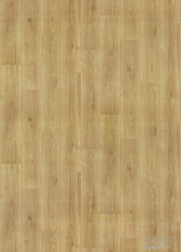 PVC EVOLUTION Maison 5