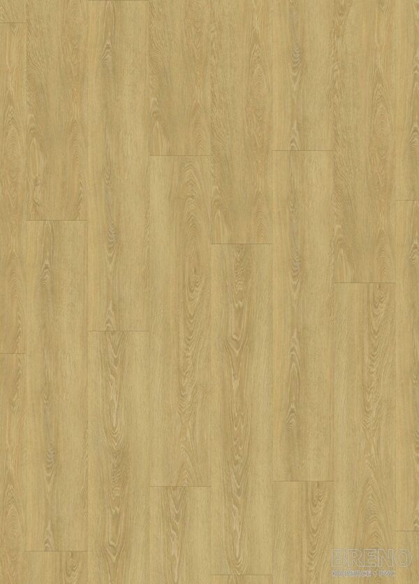 Vinylová podlaha SENSO 55 RIGID ACOUSTIC EIR CLICK 1540 Meadow Honey