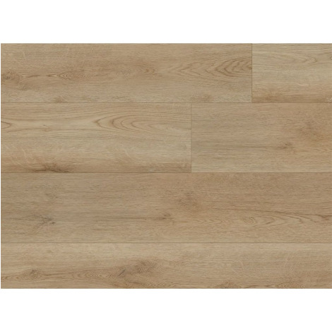 50 LVP 950 Tasman Oak