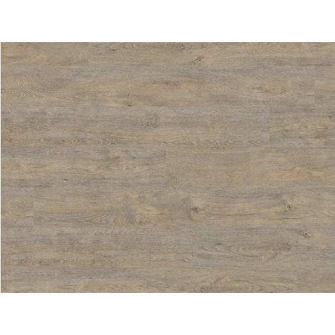 50 LVR 9604 Waterton Lakes Oak