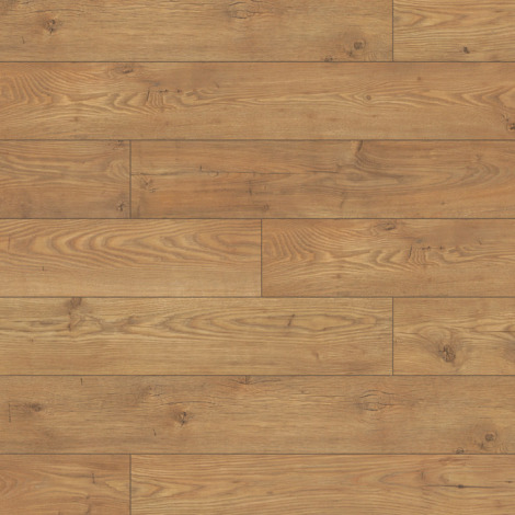 5537 Tawny Chestnut