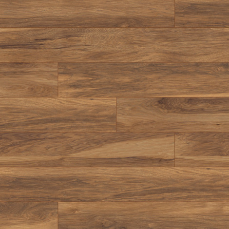 8155 Appalachian Hickory