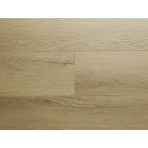 EWH-7023 Holm Oak